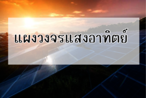 Sitemap แผนผังเว็บไซต์ 15 phonto 116